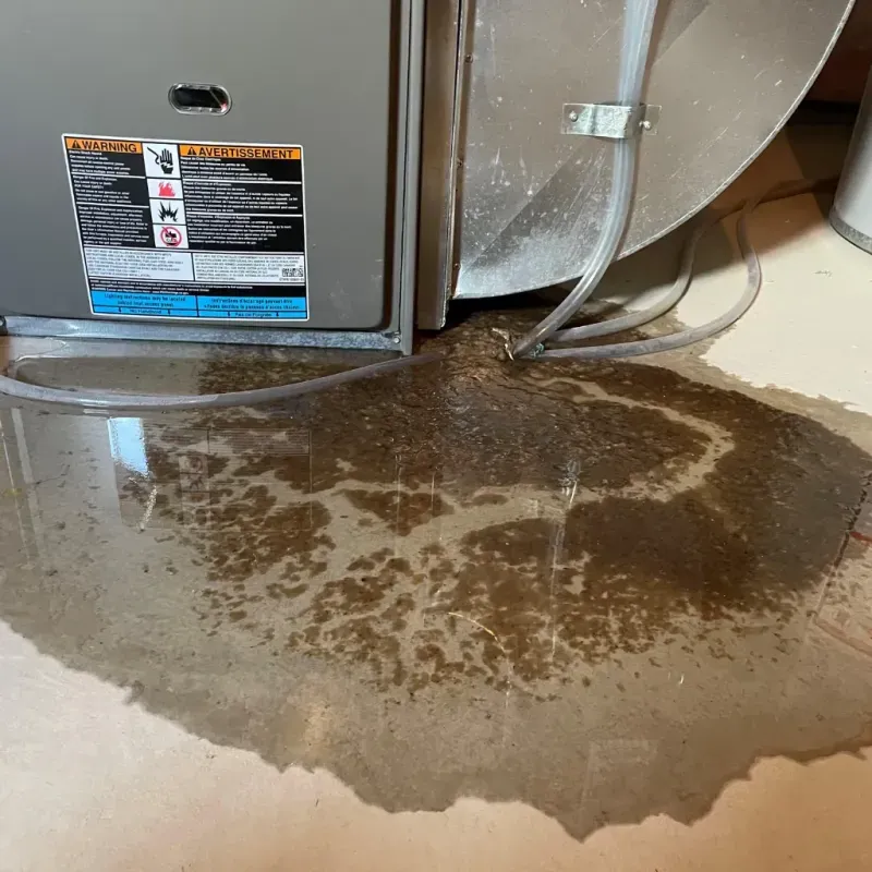 Appliance Leak Cleanup in Wolfdale, PA